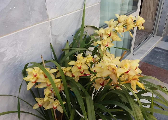 Ξενοδοχείο Paritsa 2*