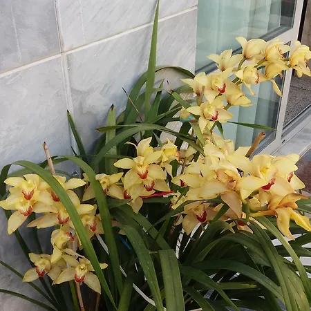 Ξενοδοχείο Paritsa